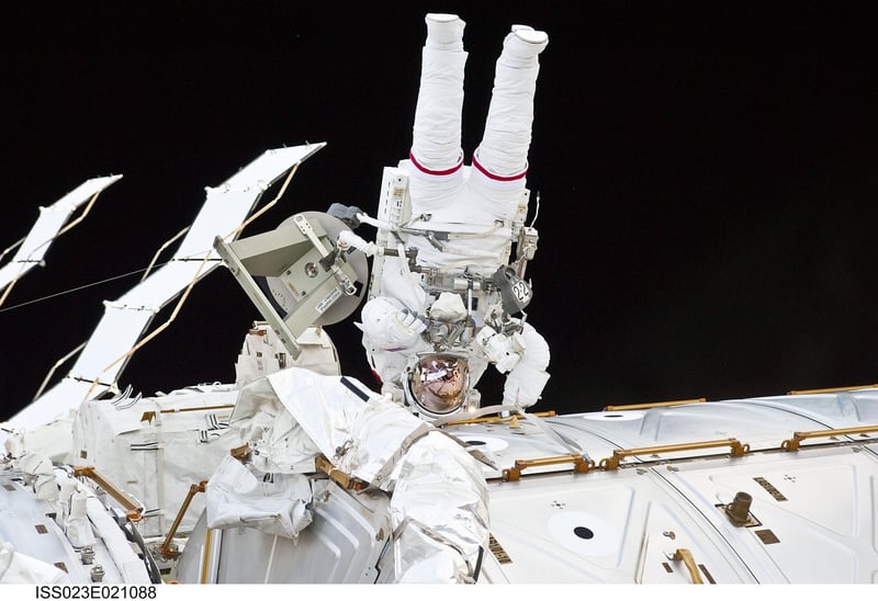 Microgravity Effects